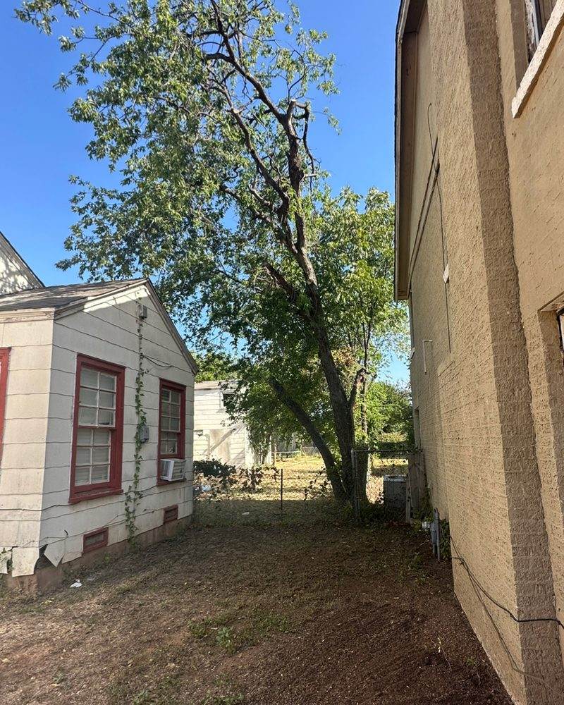 The same strip beside the house cleared to bare ground