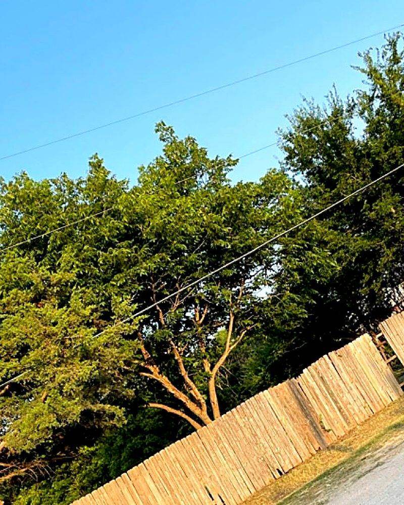 The same fence line and driveway cleared back