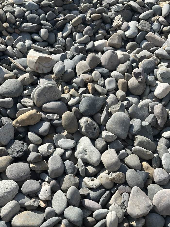River cobble, gray-blue landscape rock
